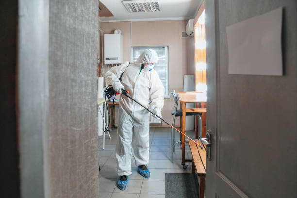 Best Mold Remediation for Rental Properties  in Payson, UT