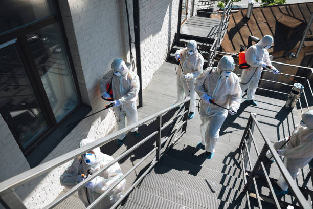 Best Airborne Mold Testing  in Payson, UT