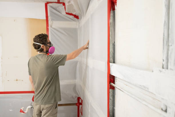 Best Attic Mold Removal  in Payson, UT