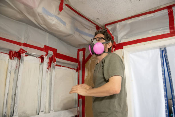 Best Indoor Air Quality Assessment  in Payson, UT