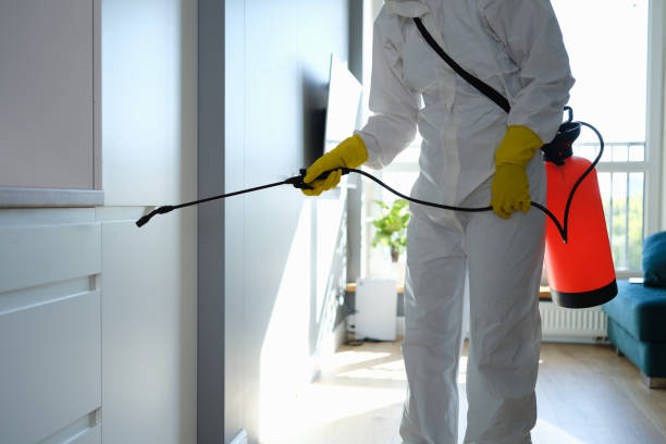 Best Mold Removal for HVAC Installations  in Payson, UT