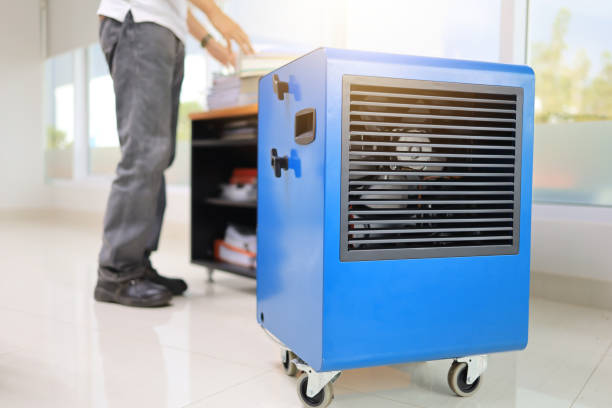 Best Mold-Related Health Consultation  in Payson, UT